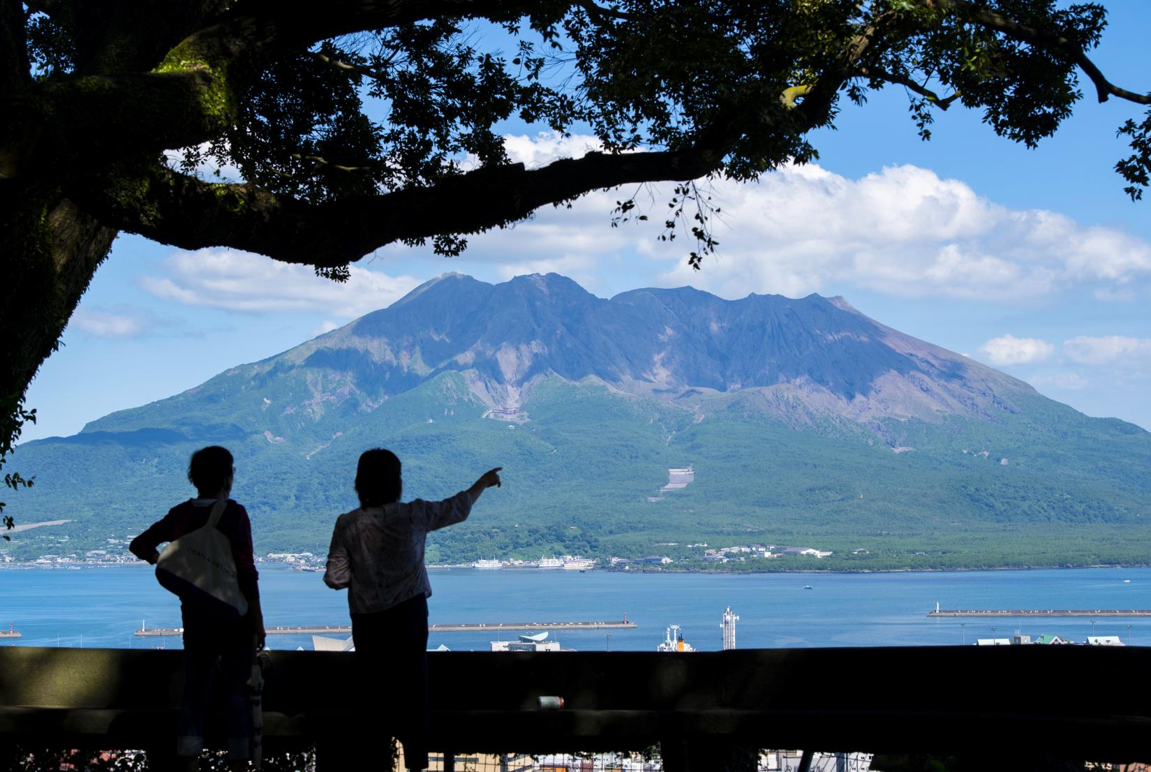 Shiroyama Observatory-4