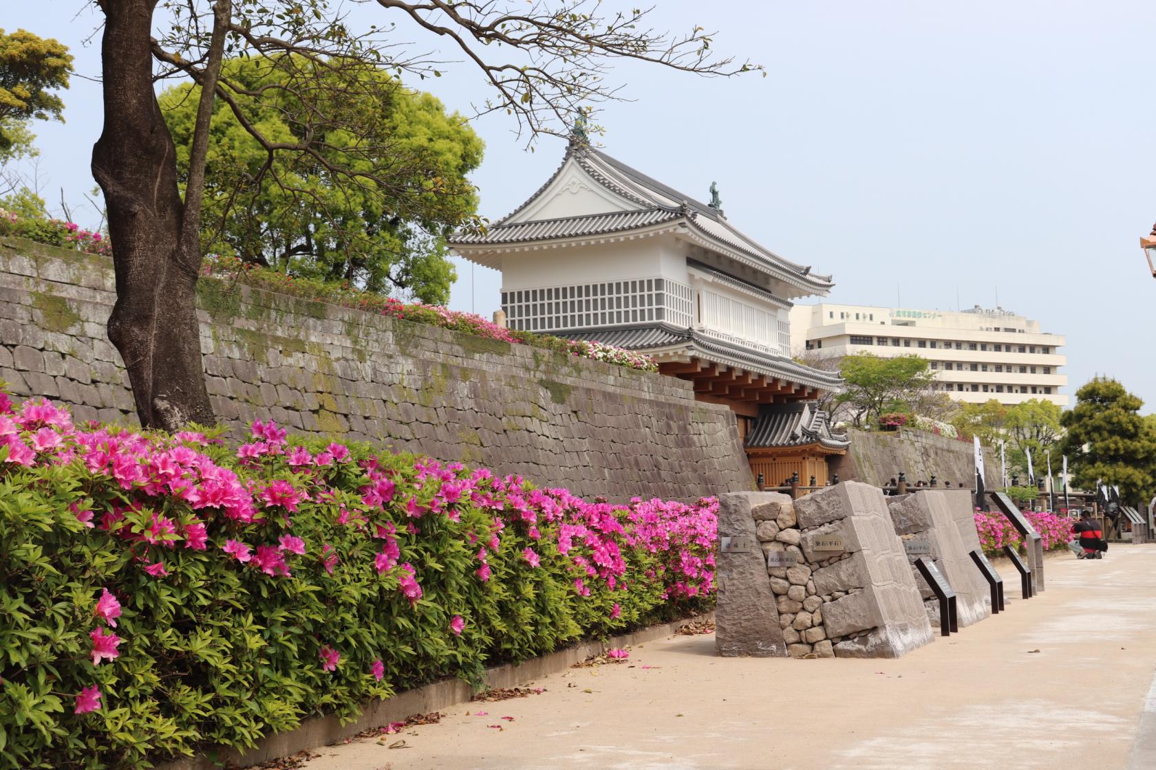 Kagoshima (Tsurumaru) Castle Ruins (Goromon Gate)-9