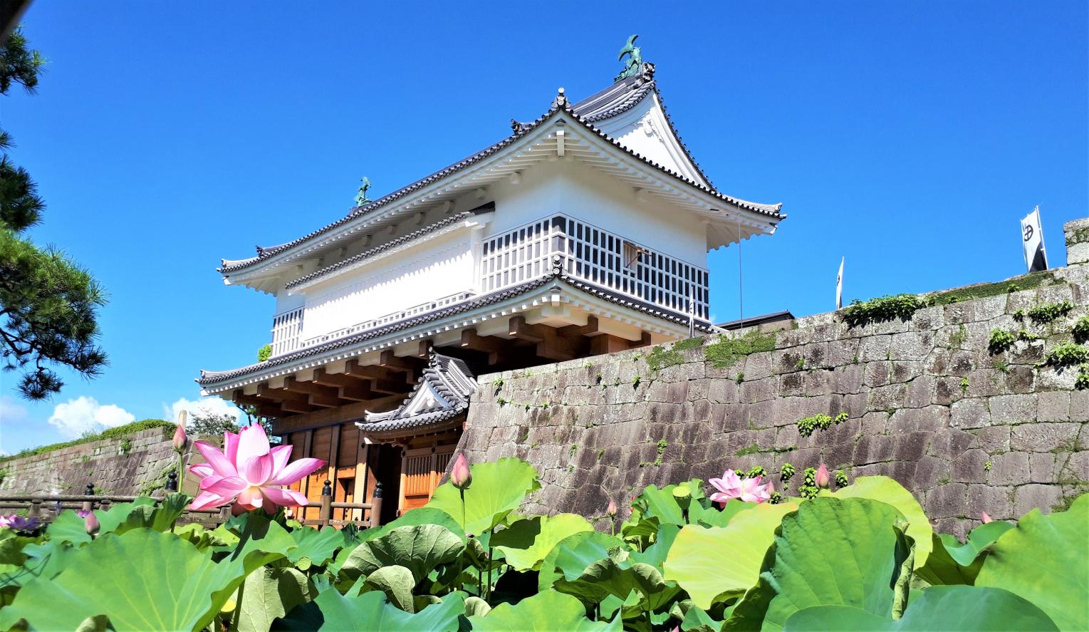 Kagoshima (Tsurumaru) Castle Ruins (Goromon Gate)-4